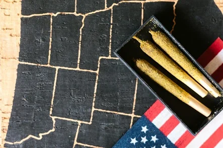 Cannabis Laws In The United States: A State-by-State Guide