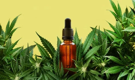Microdosing Cannabis: Consuming Weed With No High