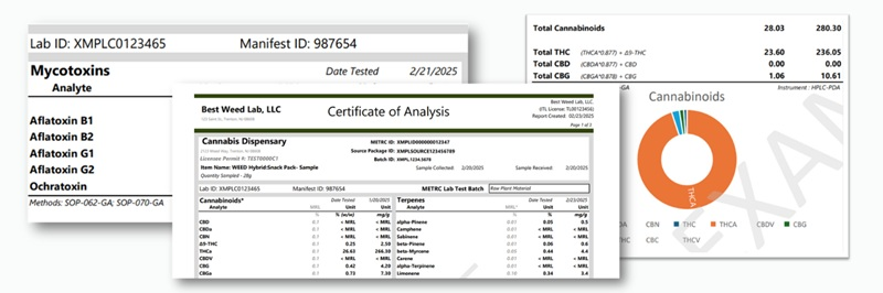 Cannabis CoA Example