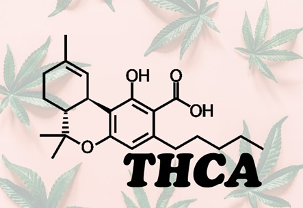What’s THCA? What to Know Before Buying “Legal Weed”