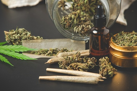 Massachusetts Proposes Potency Cap on Cannabis and Eliminating Home Cultivation