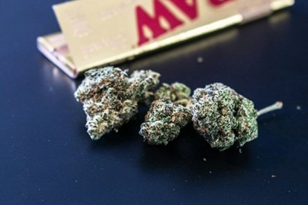 Colorado Cannabis Recall: Mold, Yeast, and Toxic Heavy Metals Found