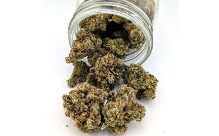 Cannabis Gift Guide: Best Gifts for Stoners and Growers