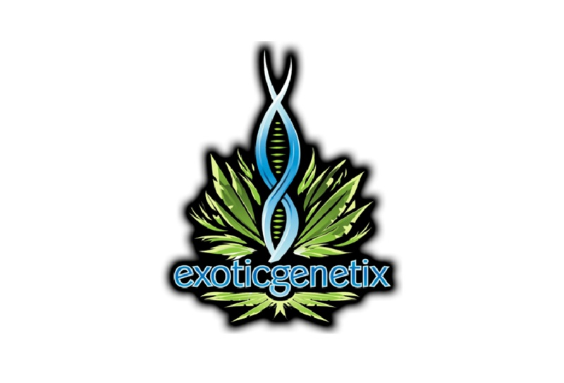 Exotic Genetix Logo