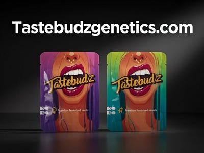 Tastebudz Genetics cannabis seeds