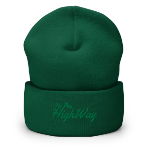 The HighWay logo beanie in spruce front view