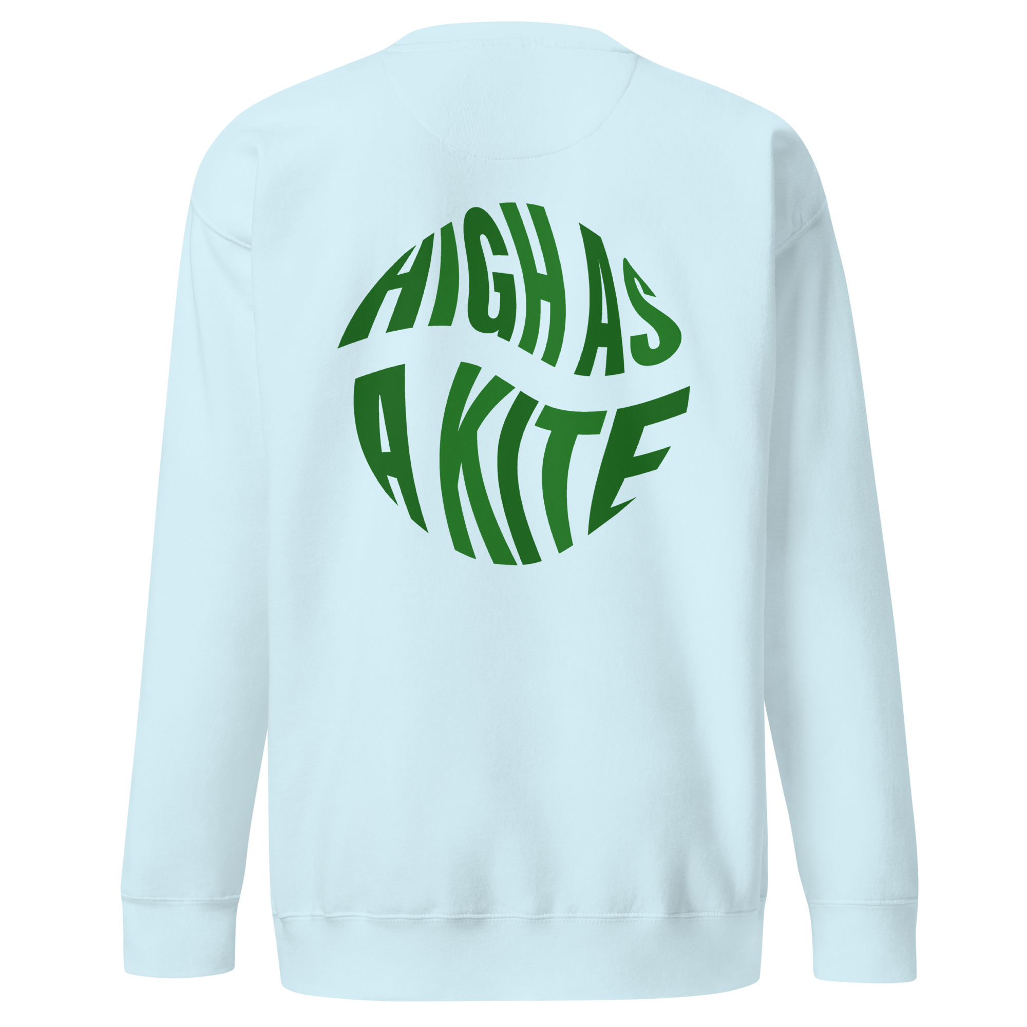 "High as a Kite" sweatshirt in sky blue back view